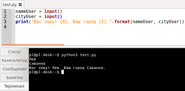 Использование функции input()